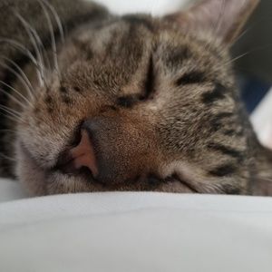 Meet your Posher, Ksenia